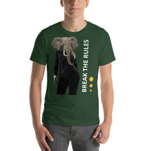 Load image into Gallery viewer, THE KINGDOM